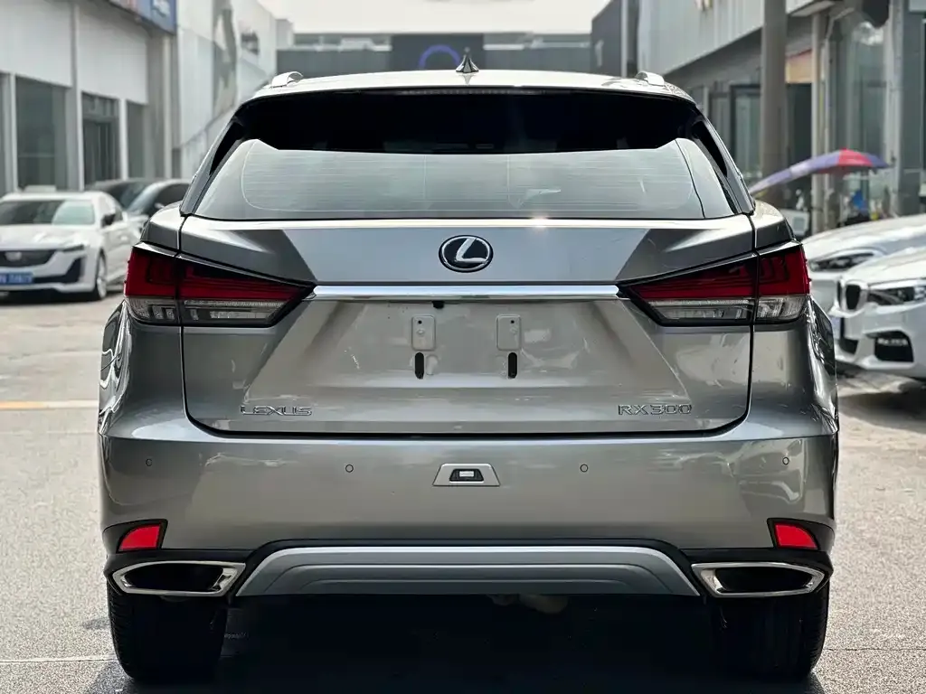 Lexus RX — фото 6