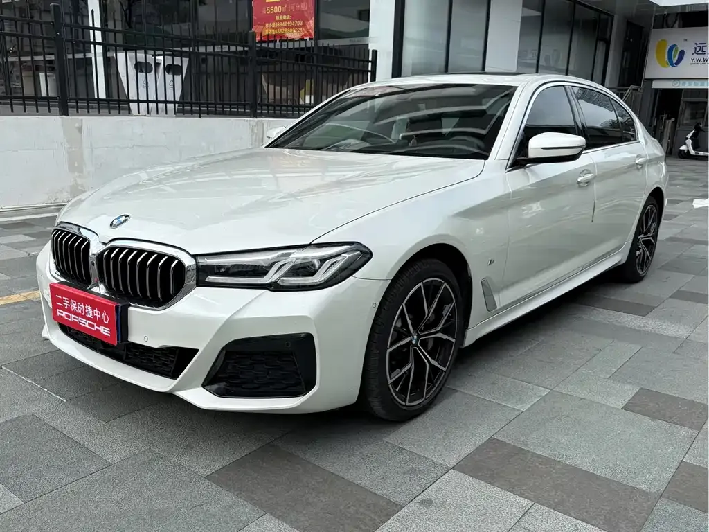 BMW 5 Series 2021 из CN, фото 1