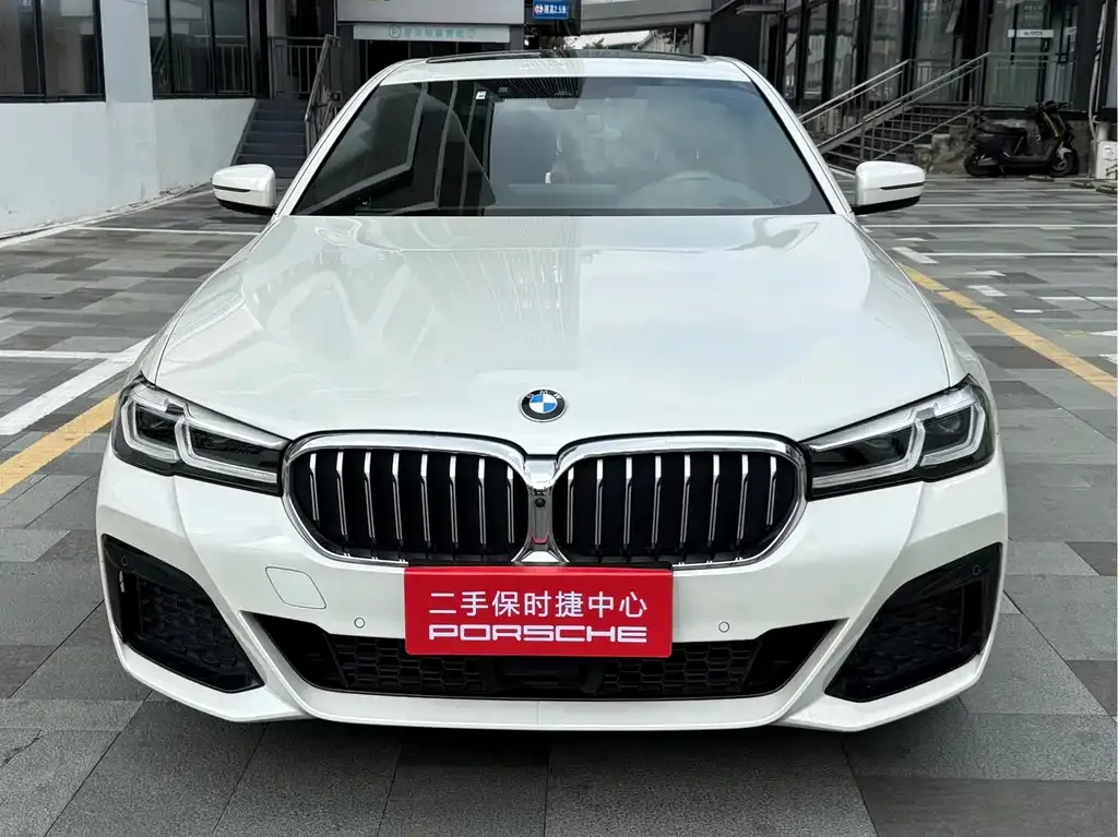 BMW 5 Series 2021 из CN, фото 5