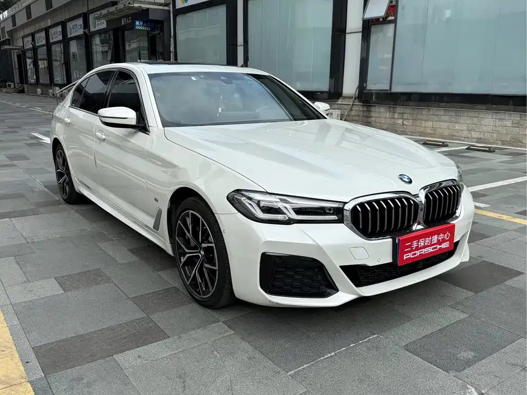 BMW 5 Series 2021 из CN, фото 3