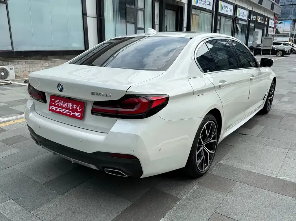 BMW 5 Series 2021 из CN, фото 6