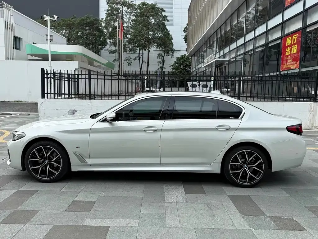 BMW 5 Series 2021 из CN, фото 9