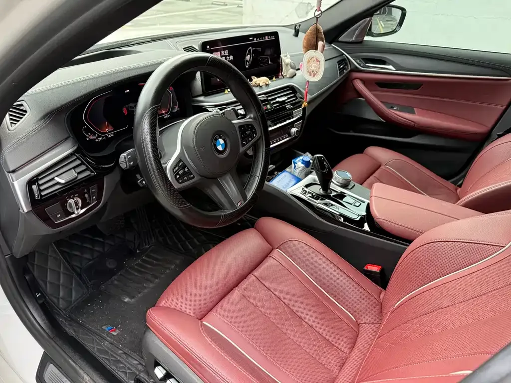 BMW 5 Series 2021 из CN, фото 8