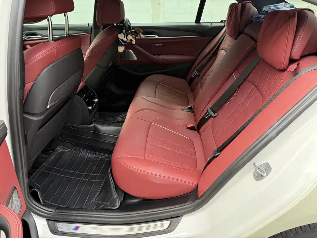 BMW 5 Series 2021 из CN, фото 4