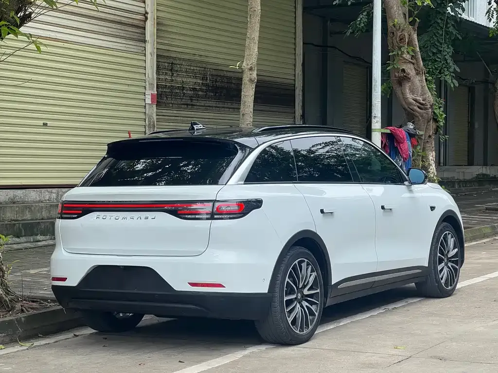 Leapmotor C11 2022 из CN, фото 9