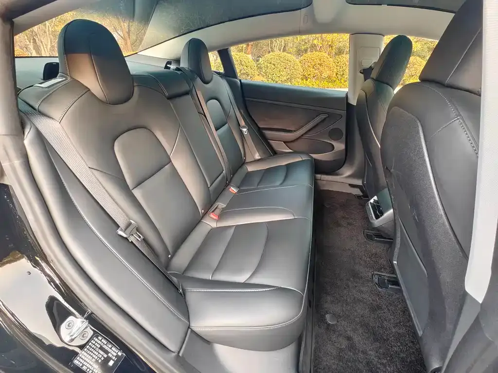 Tesla Model 3 2023 из CN, фото 2