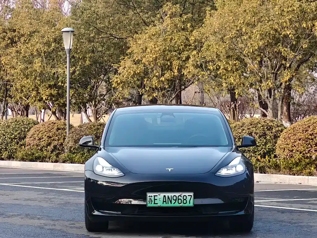 Tesla Model 3 2023 из CN, фото 8