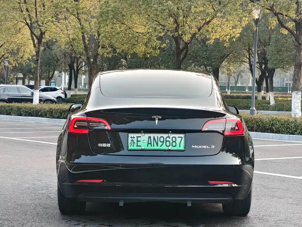Tesla Model 3 2023 из CN, фото 9
