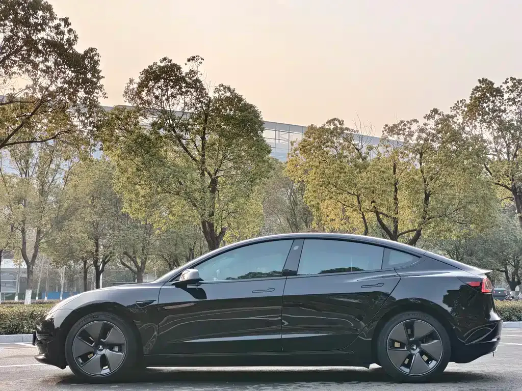 Tesla Model 3 2023 из CN, фото 6