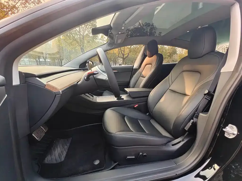 Tesla Model 3 2023 из CN, фото 3