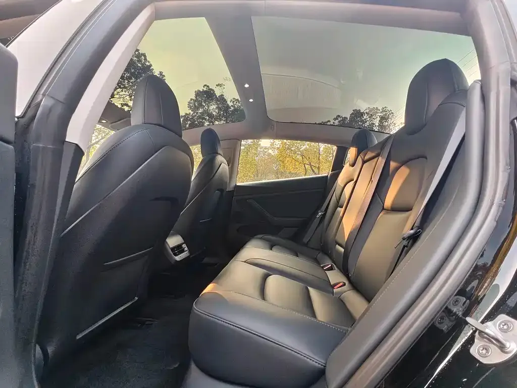 Tesla Model 3 2023 из CN, фото 4