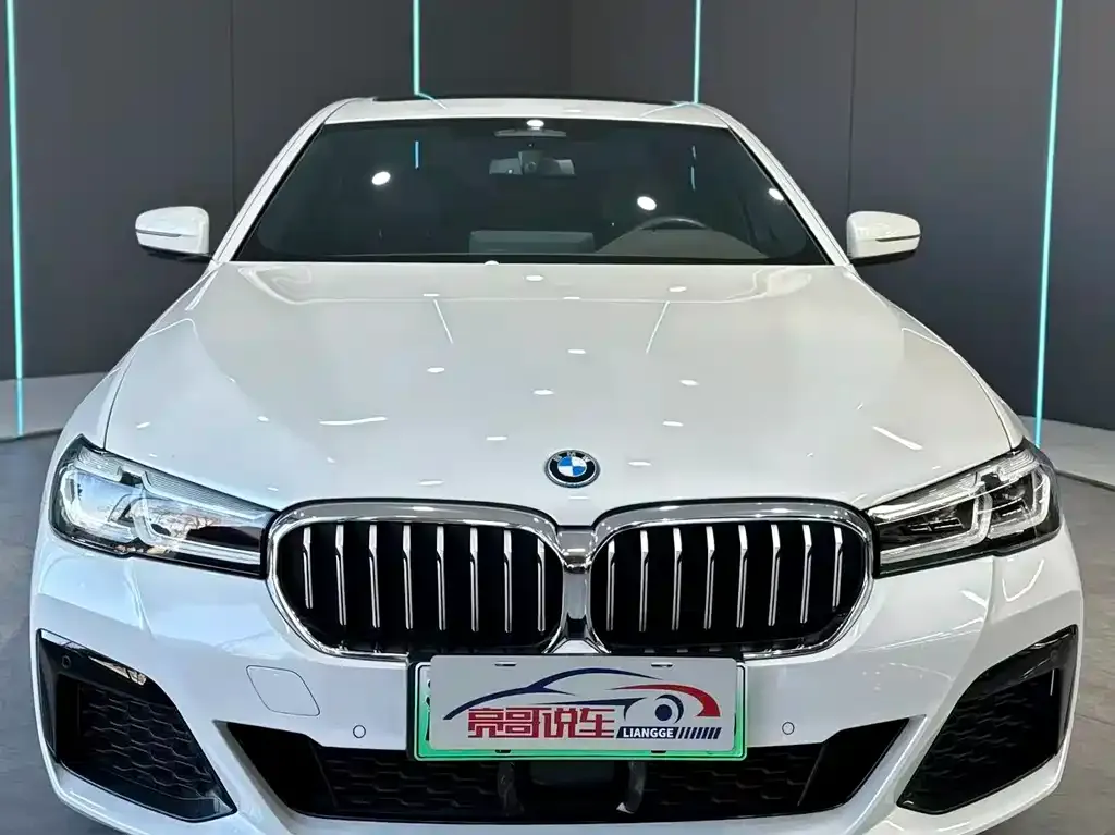 BMW 5 Series New Energy — фото 6
