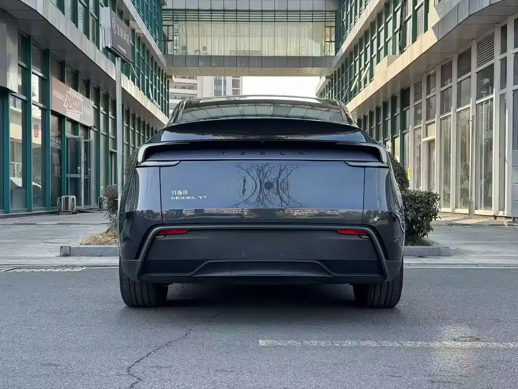 Tesla Model Y — фото 8