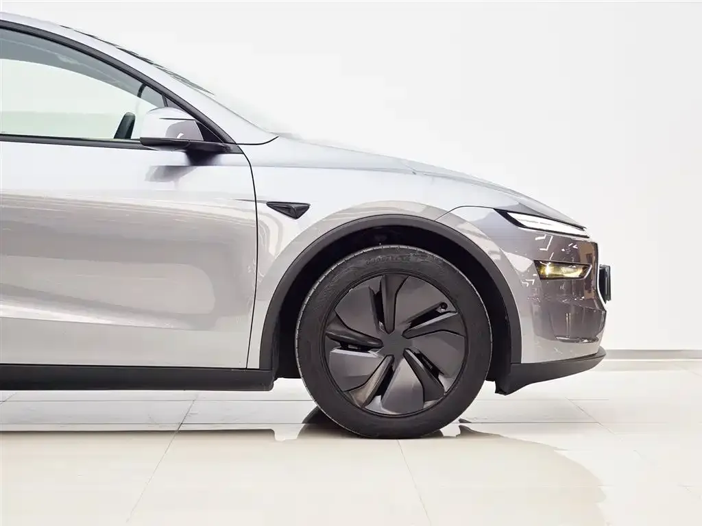 Tesla Model Y 2025 из CN, фото 2