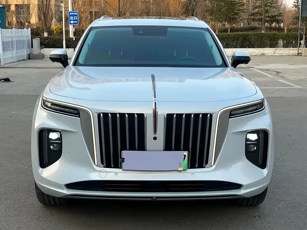 Hongqi E-HS9 2023 из CN, фото 4