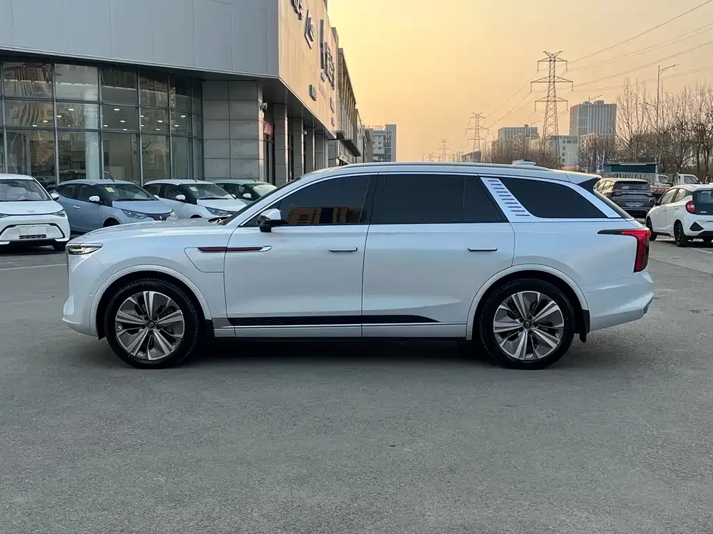 Hongqi E-HS9 2023 из CN, фото 2