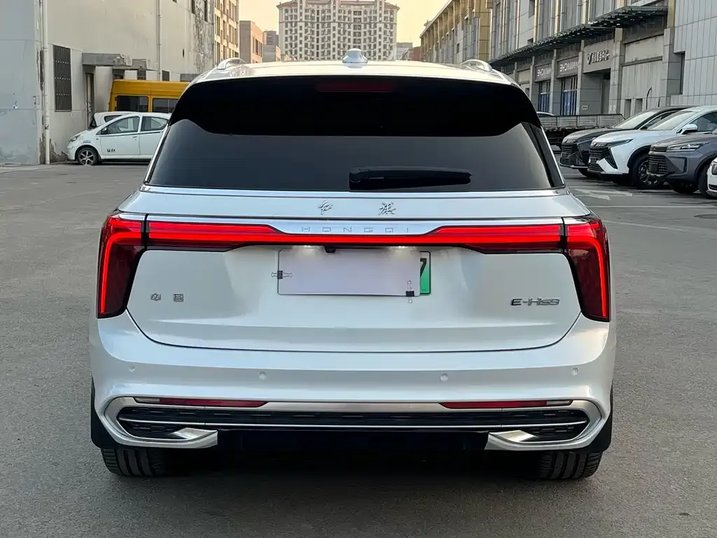 Hongqi E-HS9 2023 из CN, фото 3