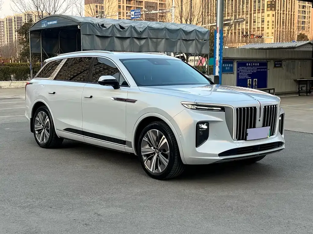 Hongqi E-HS9 2023 из CN, фото 10