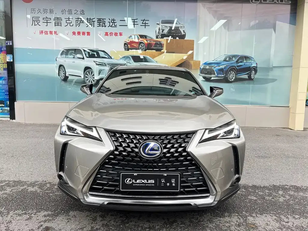 Lexus UX 2024 из CN, фото 6