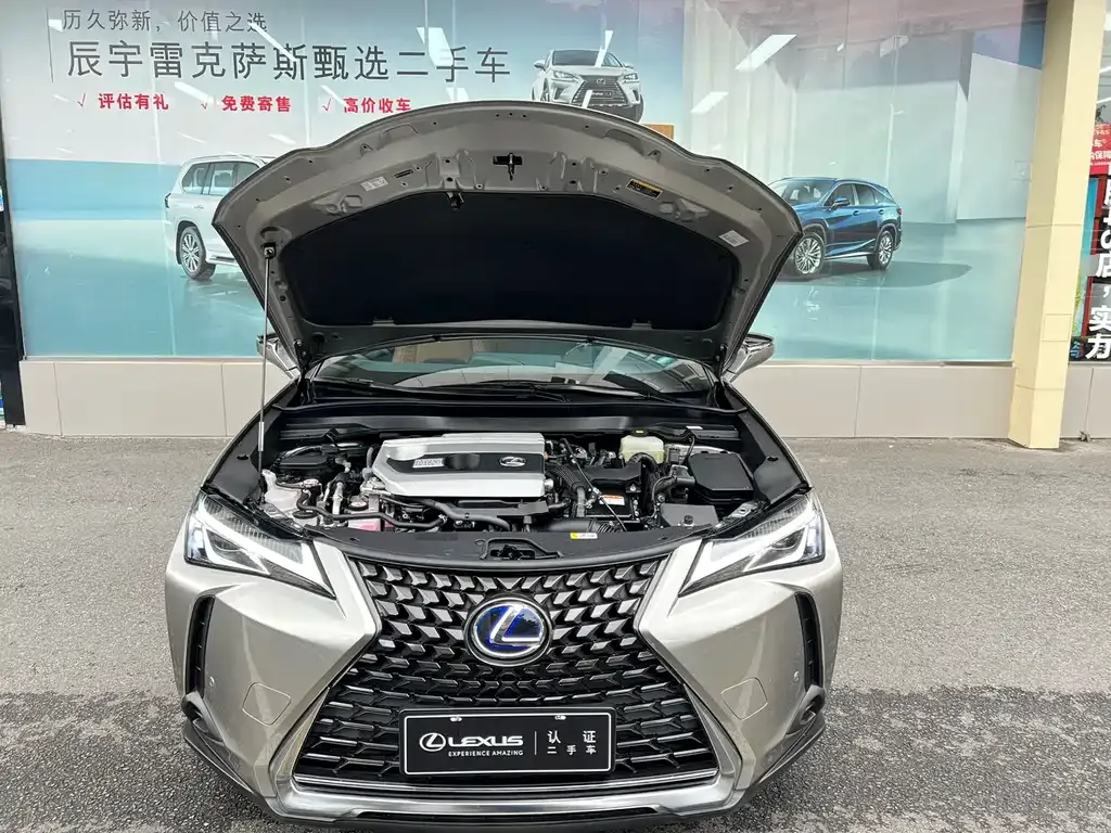 Lexus UX 2024 из CN, фото 5