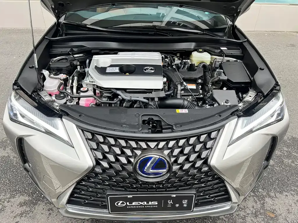 Lexus UX 2024 из CN, фото 7