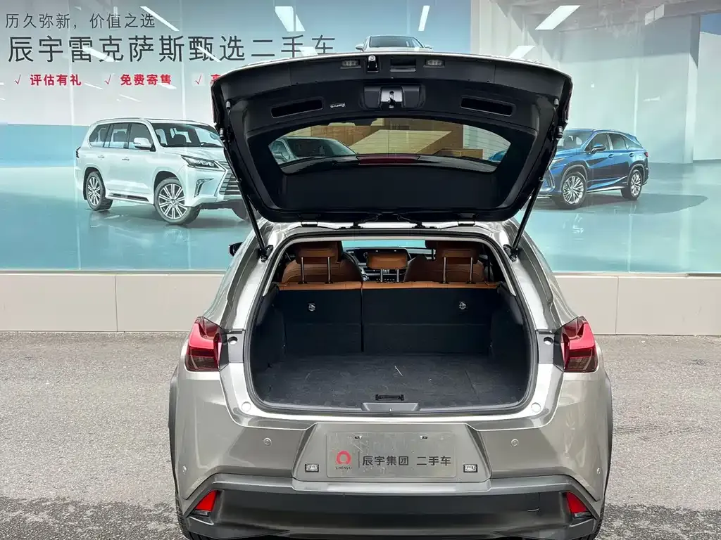Lexus UX 2024 из CN, фото 2