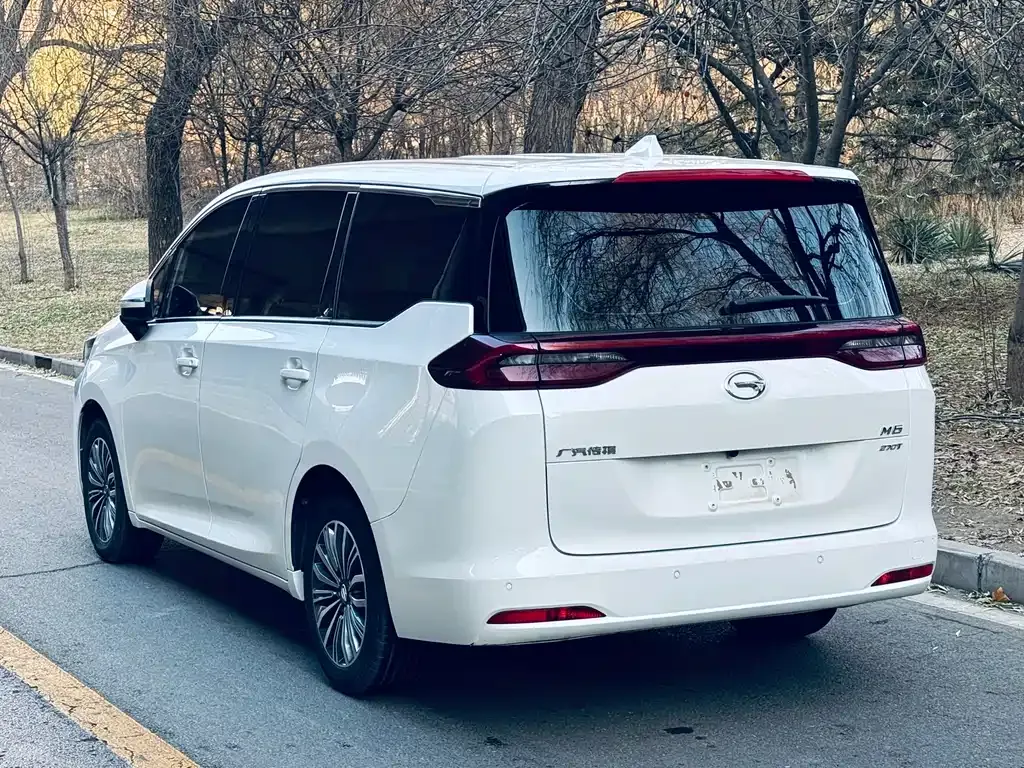 GAC Motor Trumpchi M6 2021 из CN, фото 10