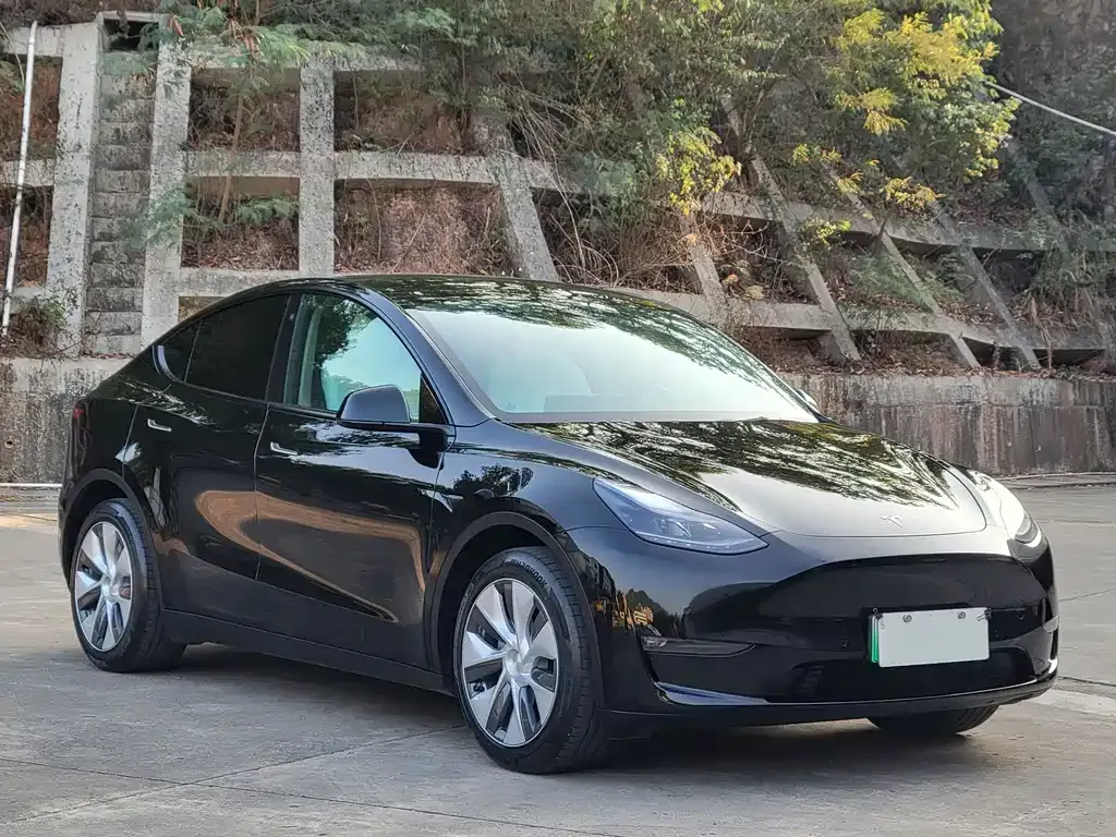 Tesla Model Y — фото 10