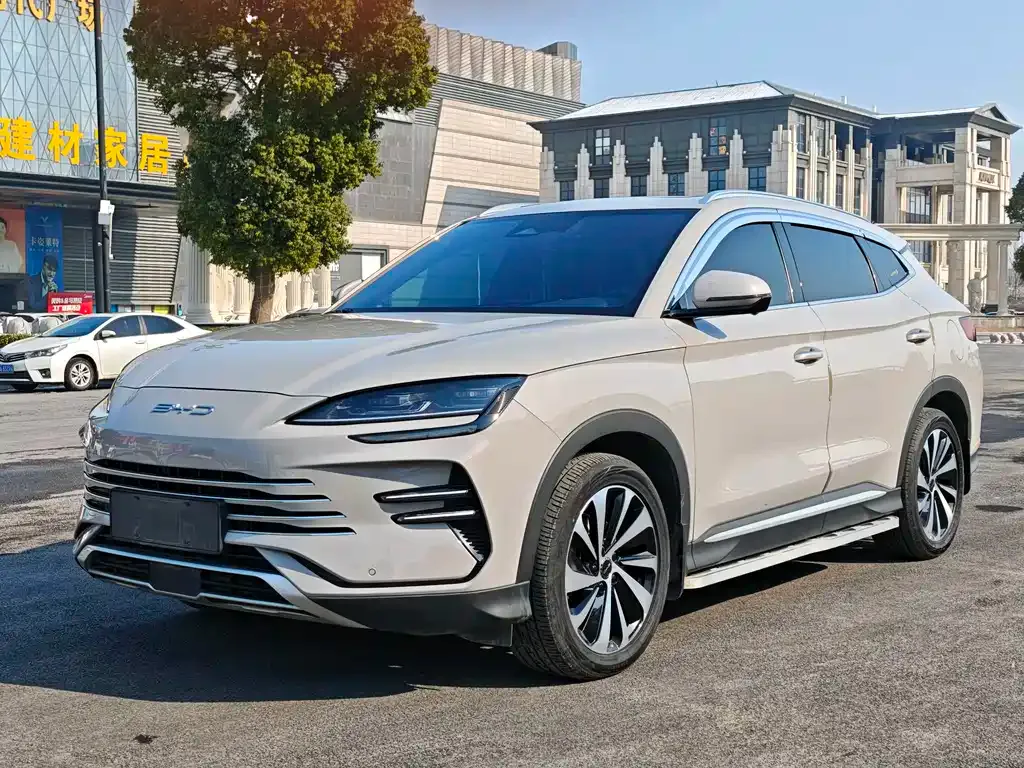 BYD PLUS New Energy 2023 из CN, фото 1