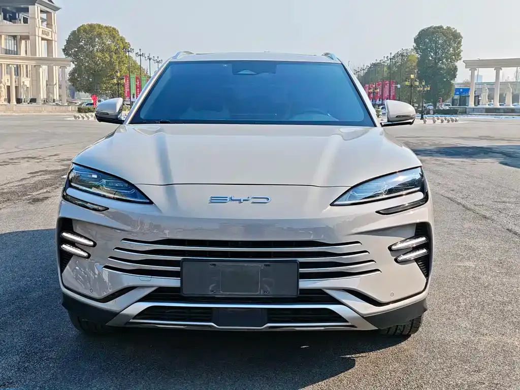 BYD PLUS New Energy 2023 из CN, фото 6