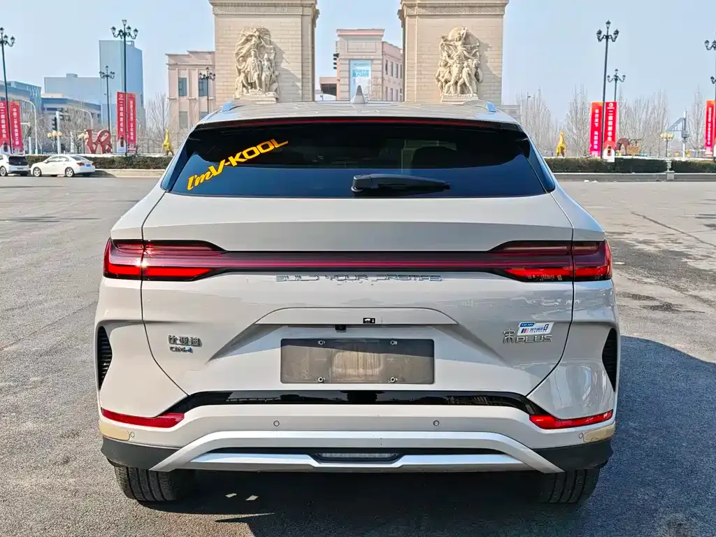 BYD PLUS New Energy 2023 из CN, фото 9