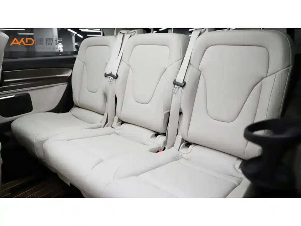 Mercedes-Benz V-Class 2021 из CN, фото 9