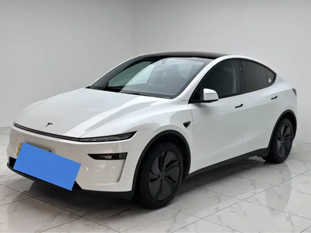 Tesla Model Y 2025 из CN, фото 1
