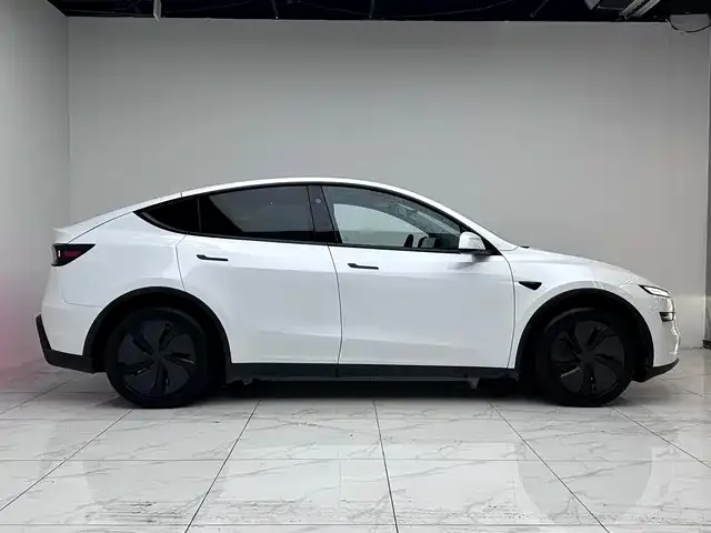 Tesla Model Y 2025 из CN, фото 10
