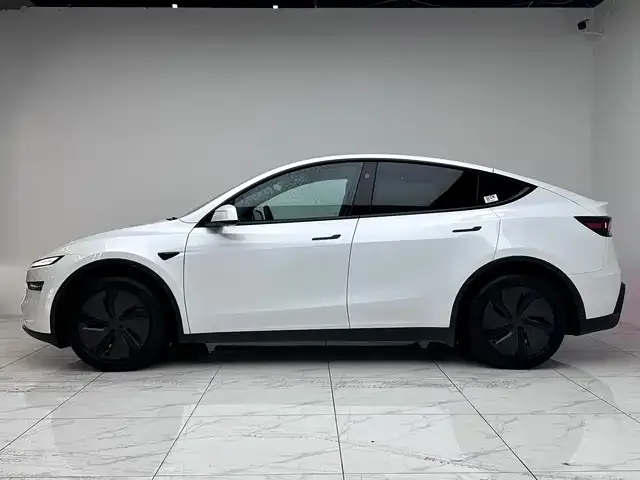 Tesla Model Y 2025 из CN, фото 8