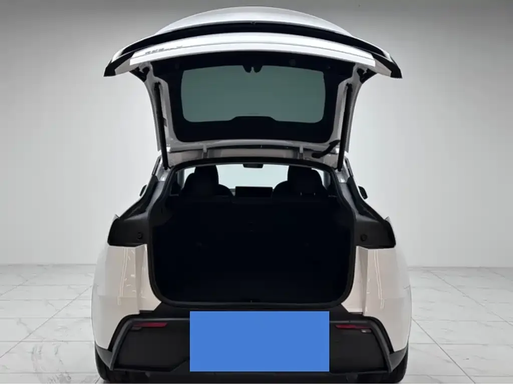 Tesla Model Y 2025 из CN, фото 5