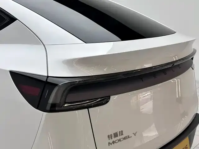 Tesla Model Y 2025 из CN, фото 4