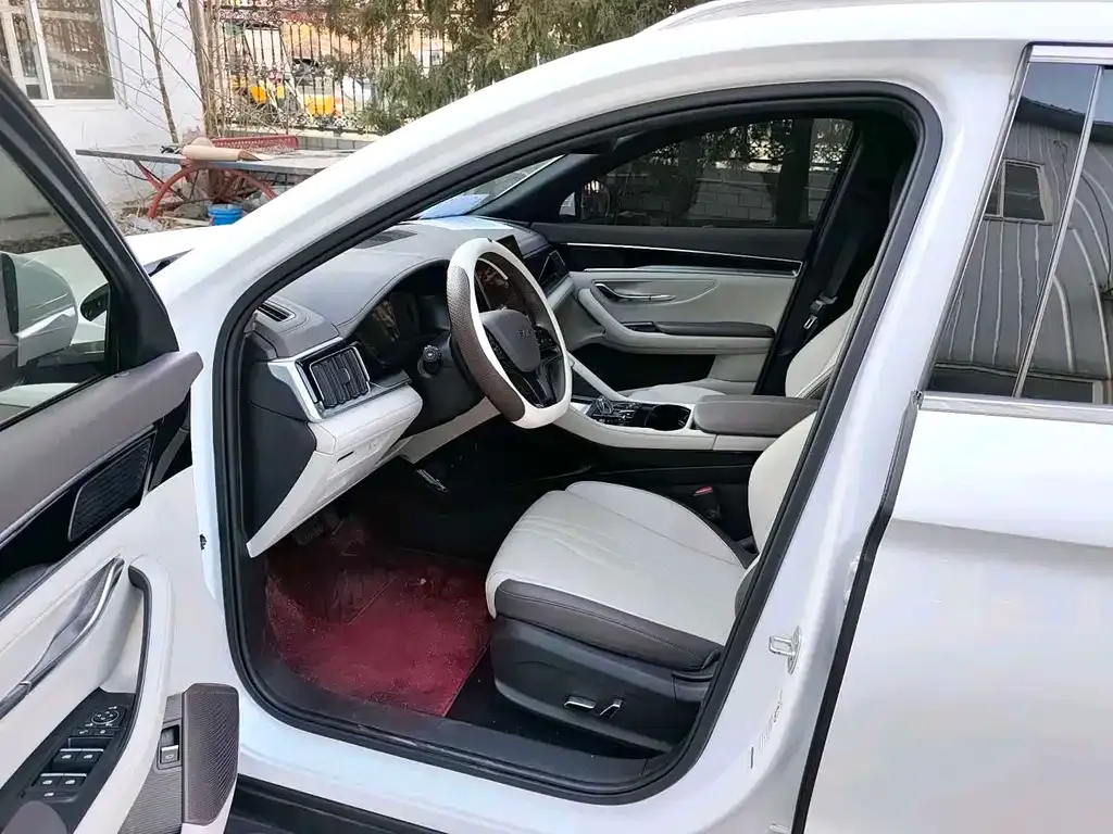 BYD PLUS New Energy — фото 4