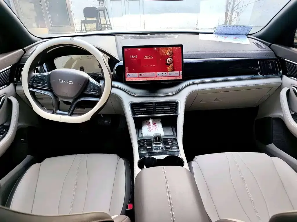 BYD PLUS New Energy — фото 2