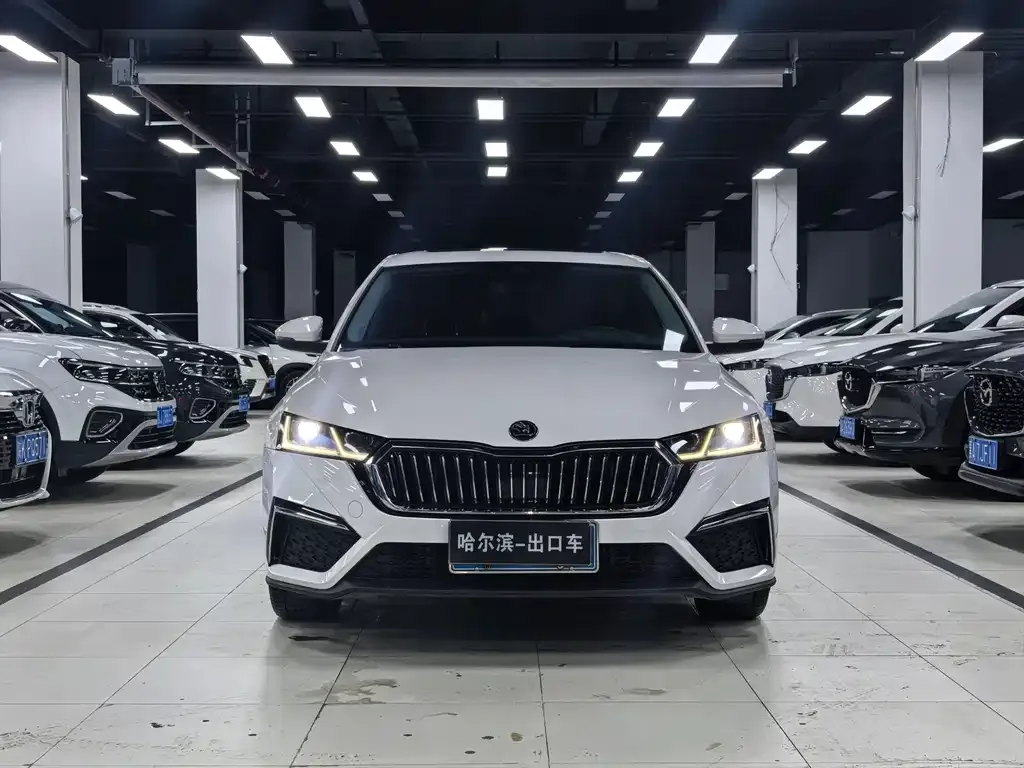 Skoda Octavia 2021 из CN, фото 10