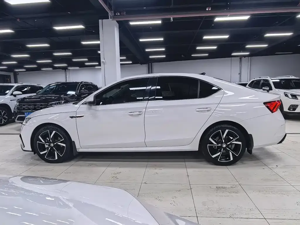 Skoda Octavia 2021 из CN, фото 8