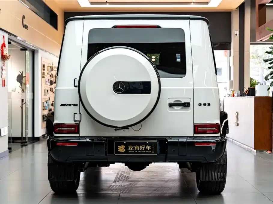Mercedes-Benz G-Class 2021 из CN, фото 5