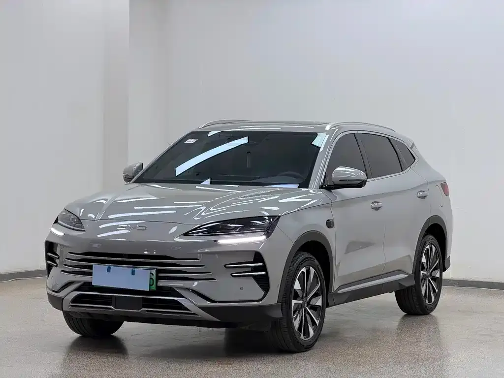 BYD PLUS New Energy — фото 1