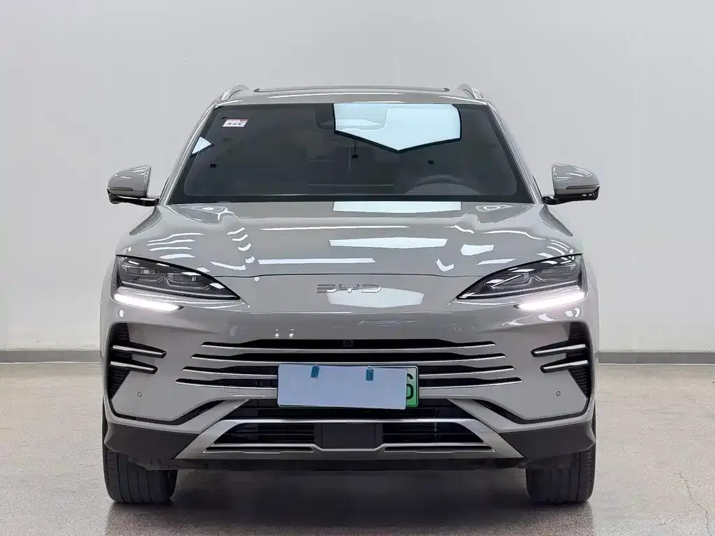 BYD PLUS New Energy — фото 4