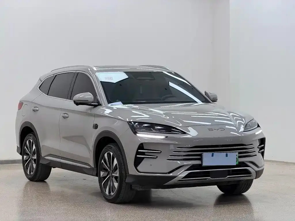 BYD PLUS New Energy — фото 6