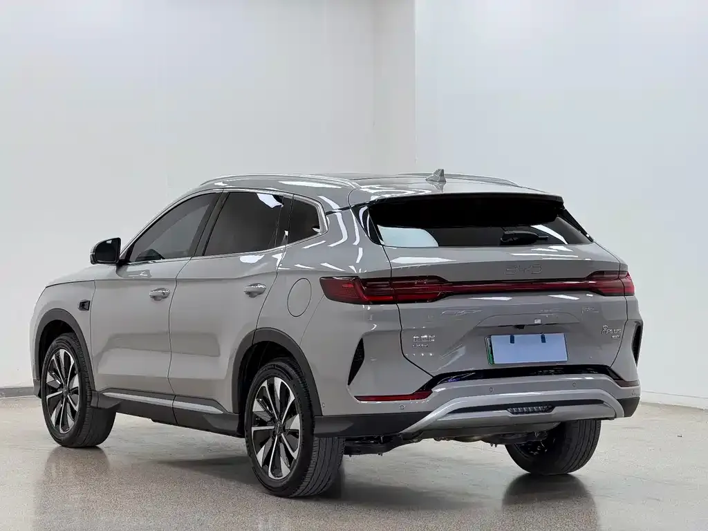 BYD PLUS New Energy — фото 2