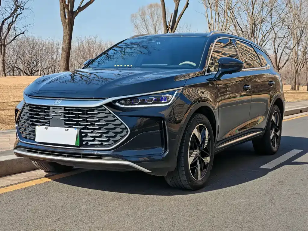 BYD Tang New Energy 2024 из CN, фото 1