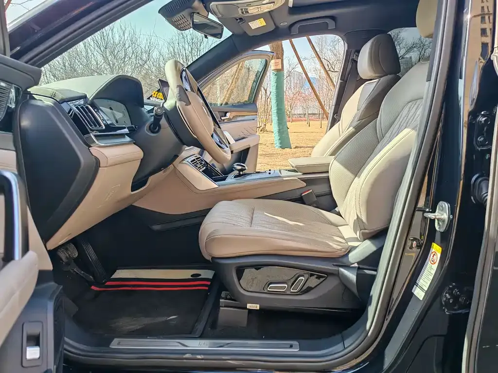 BYD Tang New Energy 2024 из CN, фото 9