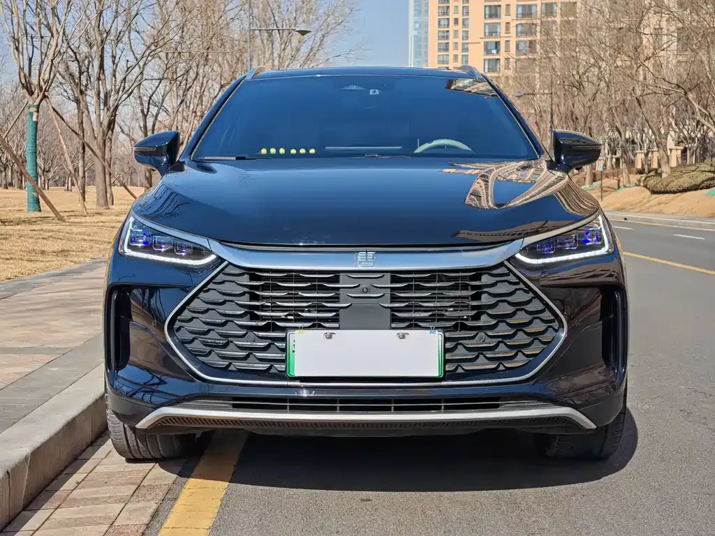 BYD Tang New Energy 2024 из CN, фото 7