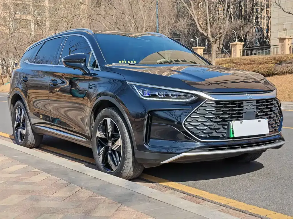 BYD Tang New Energy 2024 из CN, фото 6